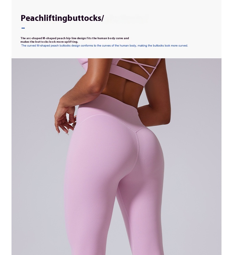 D04619dd F875 451f 8339 5be518504b7b Trans